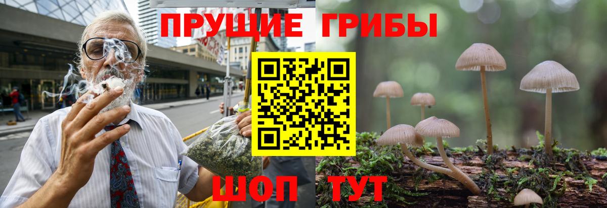 Галлюциногенные грибы Psilocybe  Псилоцибиновые грибы Psilocybine cubensis  Вход с VPN  Нягань 