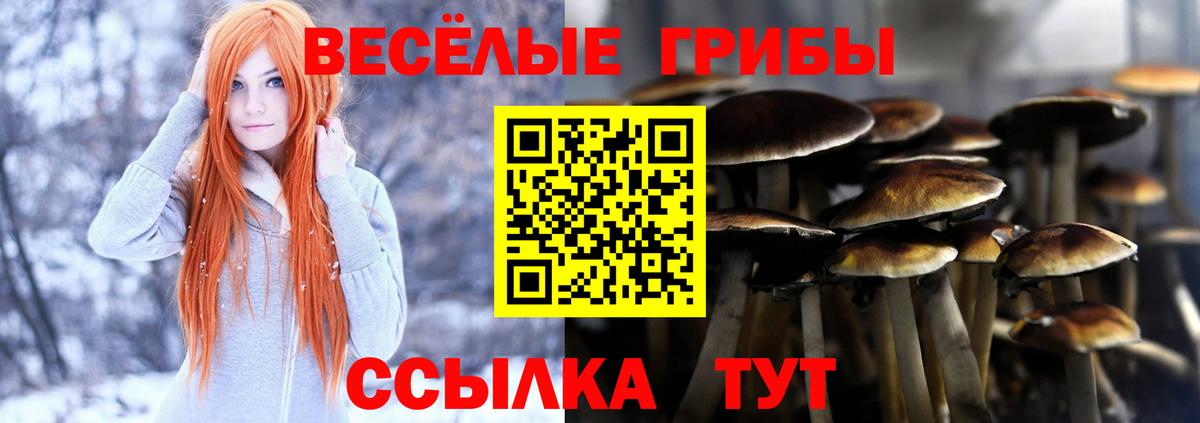 Галлюциногенные грибы MAGIC MUSHROOMS Нягань